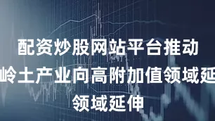 配资炒股网站平台推动高岭土产业向高附加值领域延伸