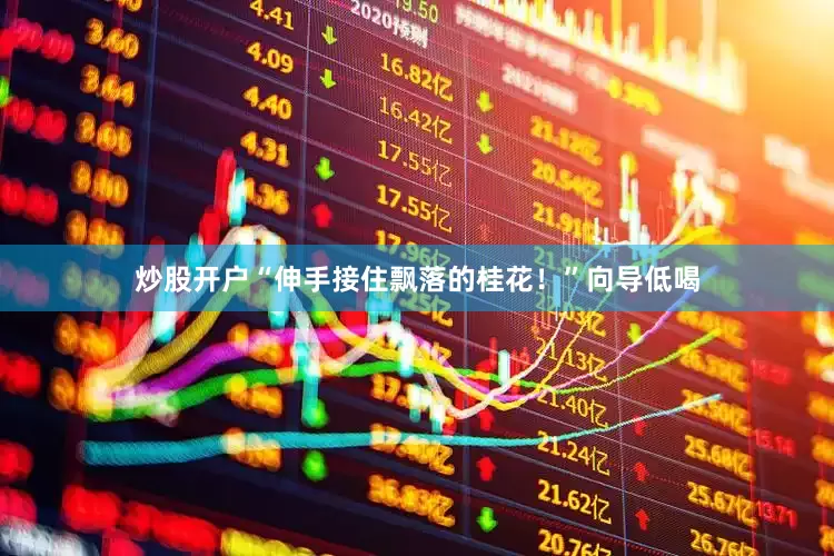 炒股开户“伸手接住飘落的桂花！”向导低喝