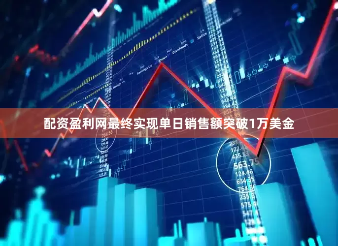 配资盈利网最终实现单日销售额突破1万美金